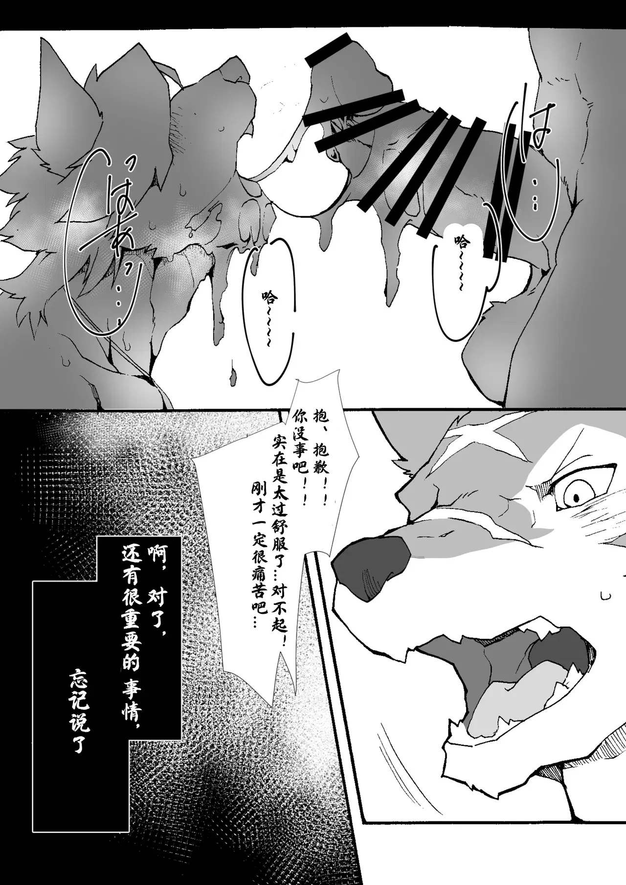 Image #11
