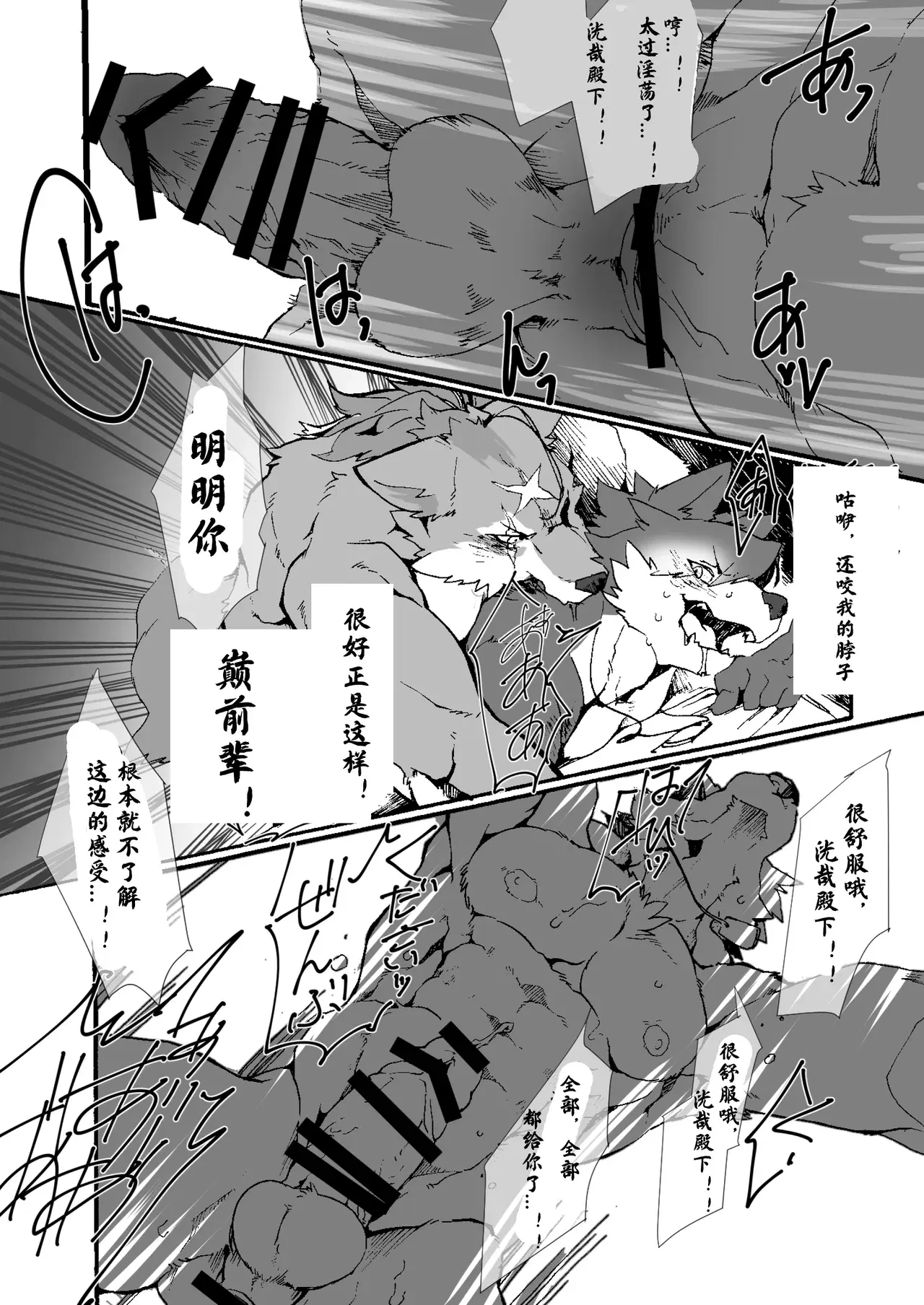Image #13