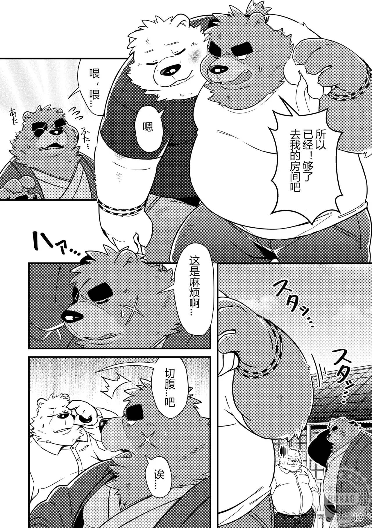 Image #12