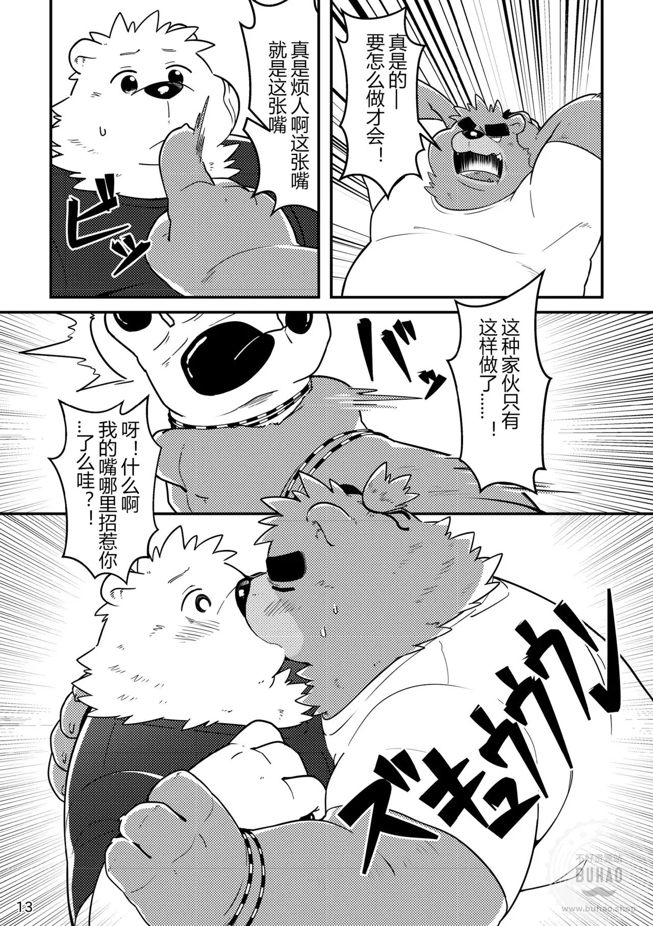 Image #15