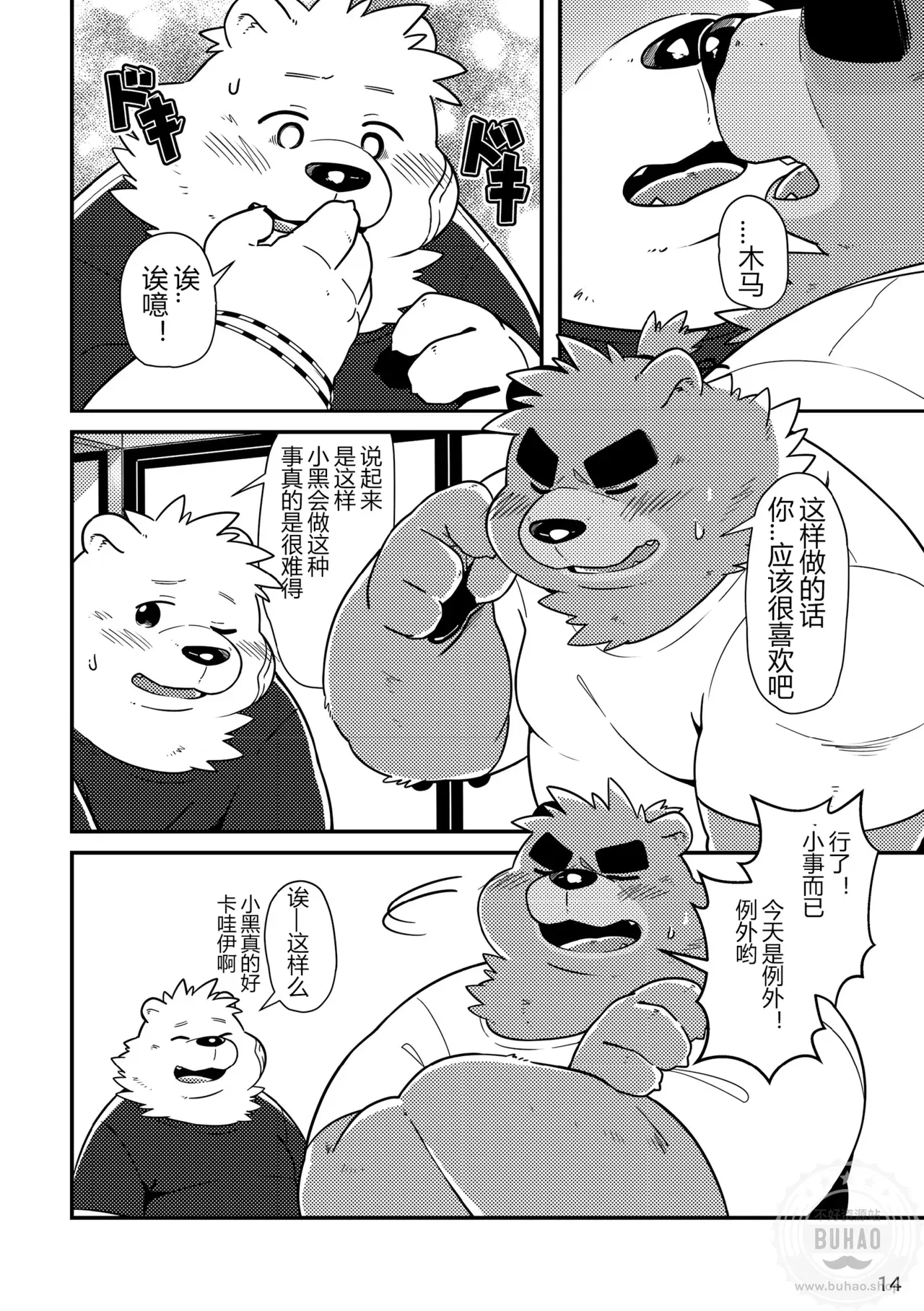 Image #16