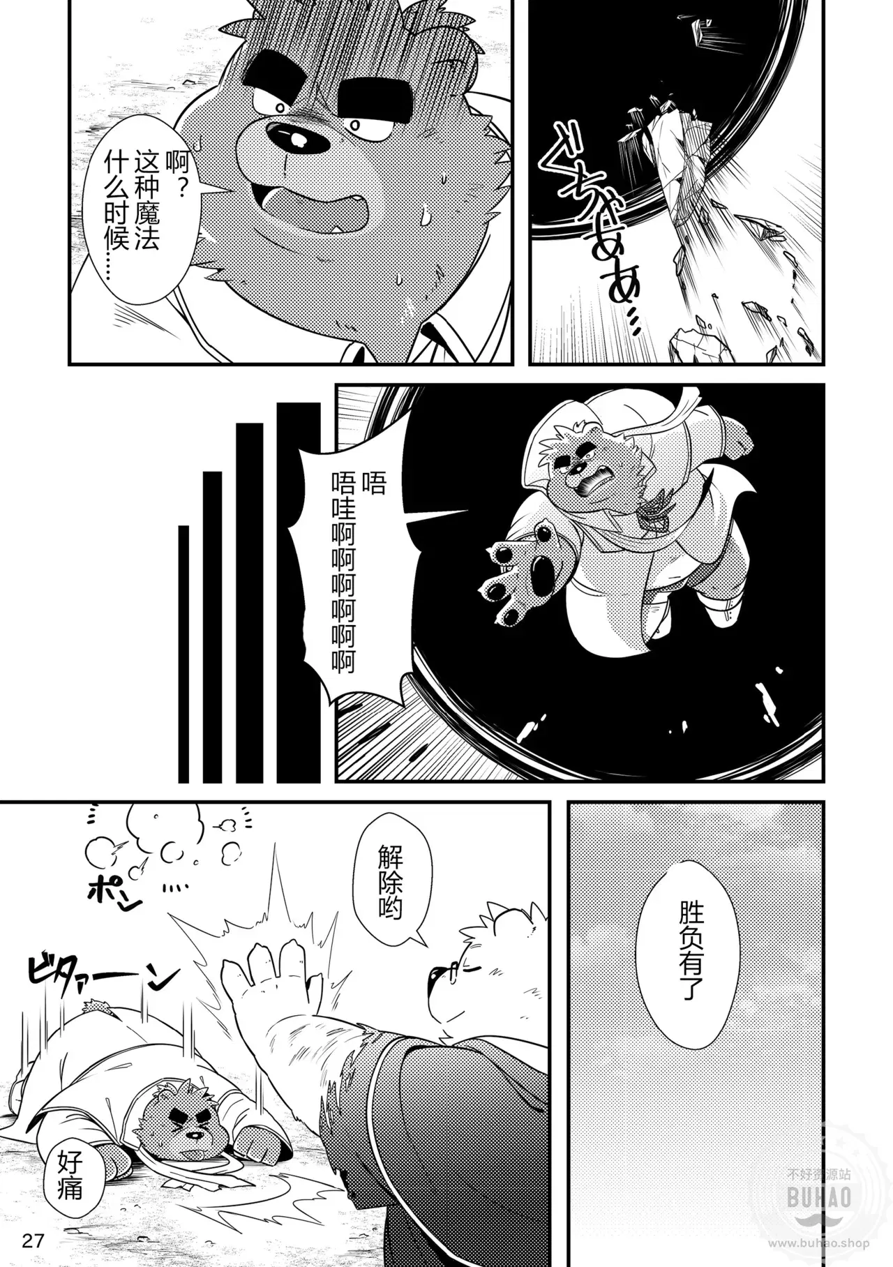 Image #29