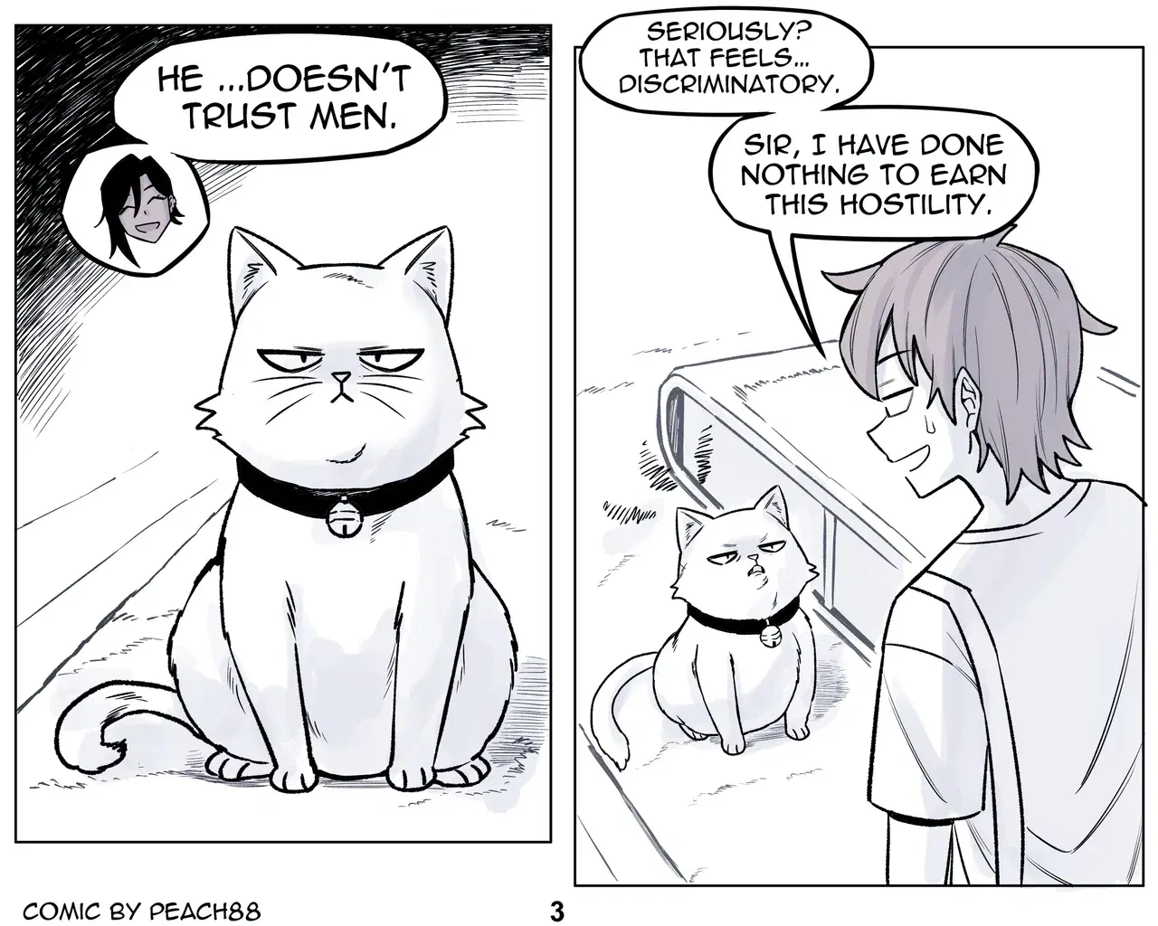 Image #51