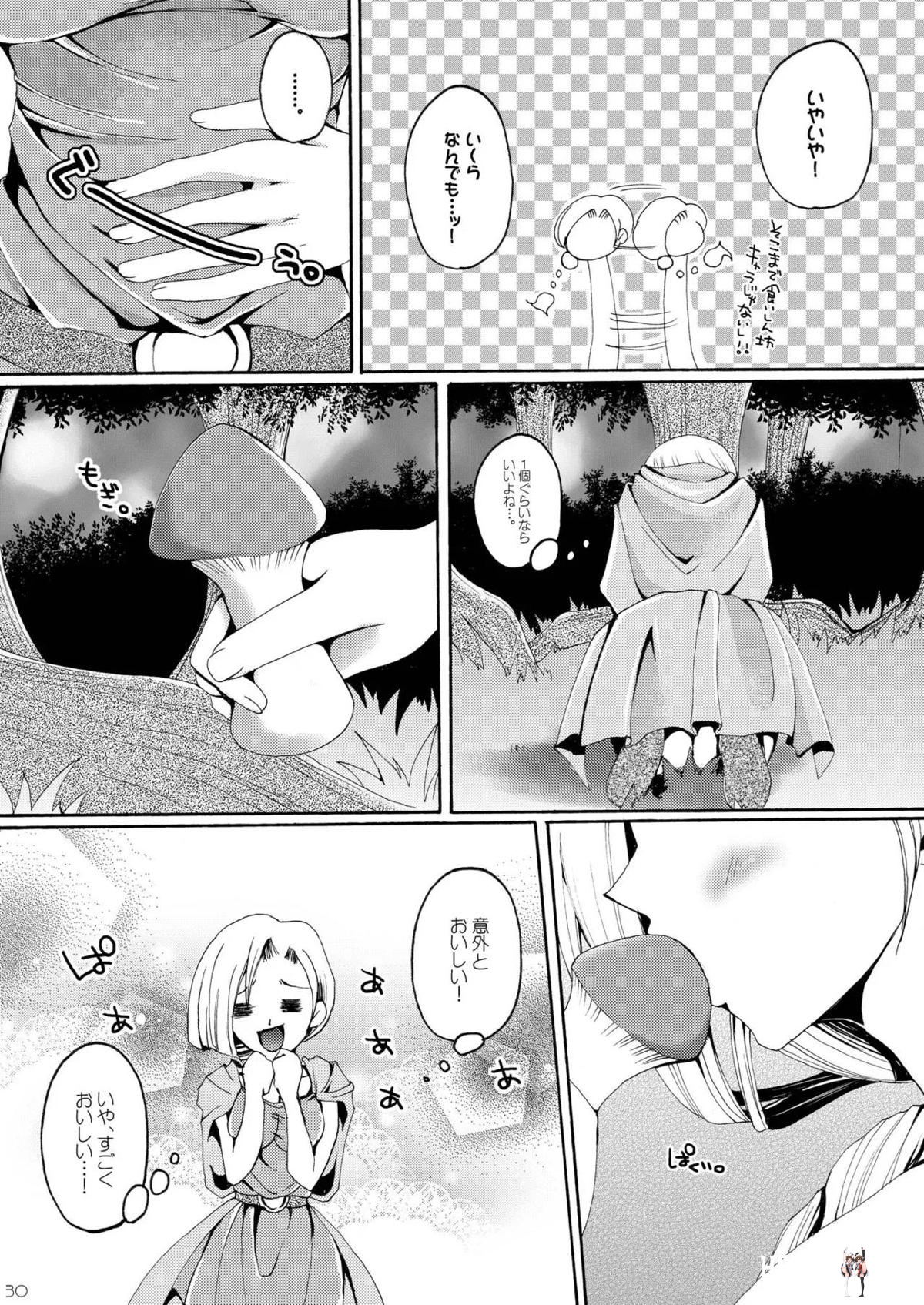 Image #29