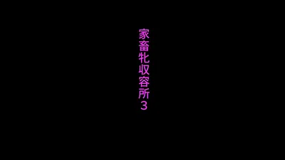 家畜牝収容所3 - Hentai Gallery