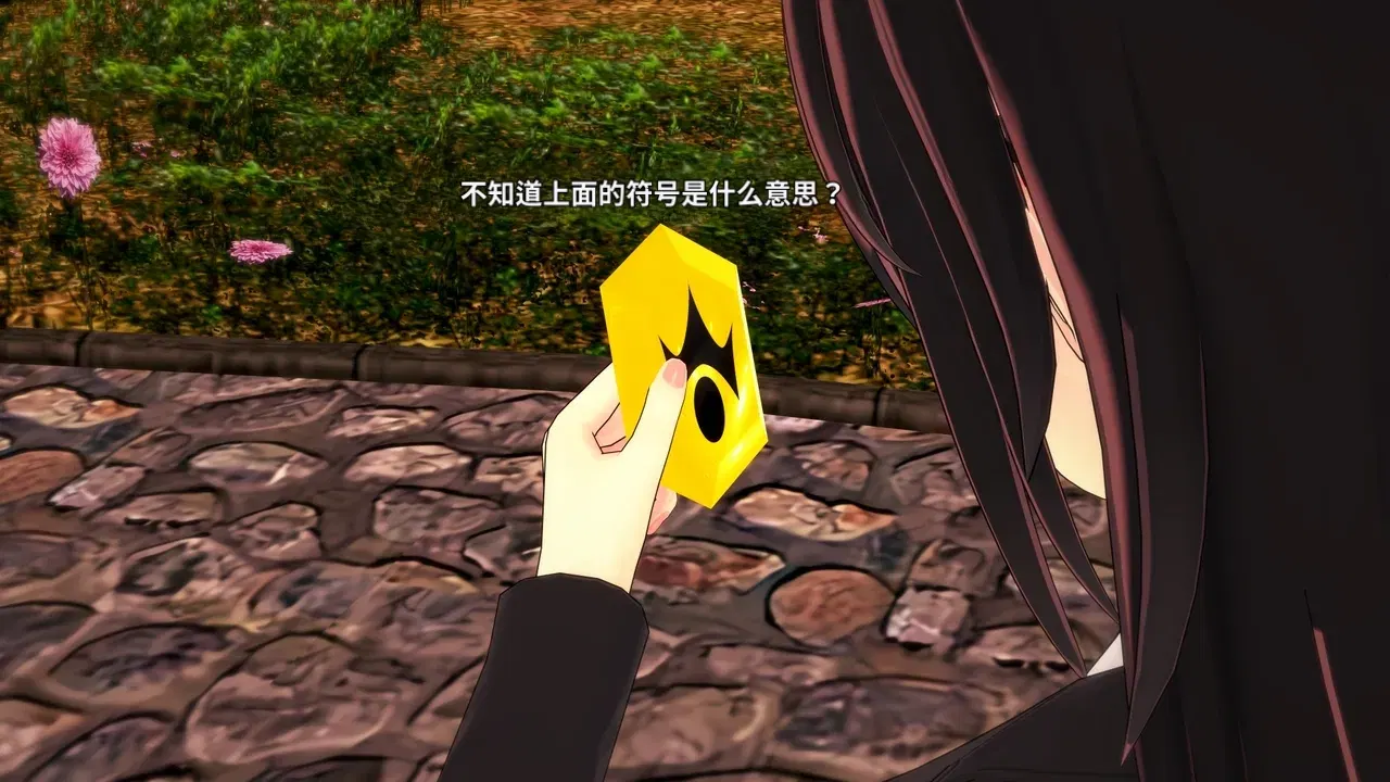 Image #15