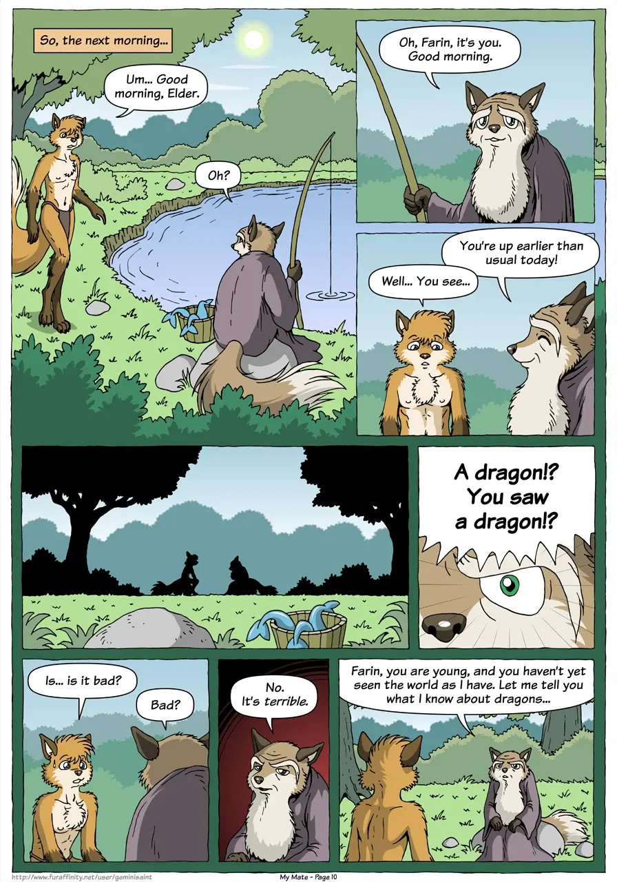 Image #12