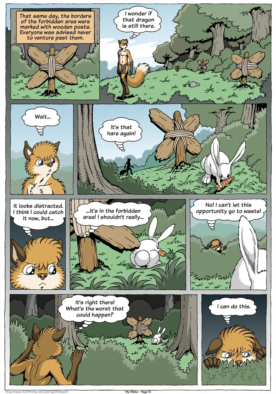 Image #14