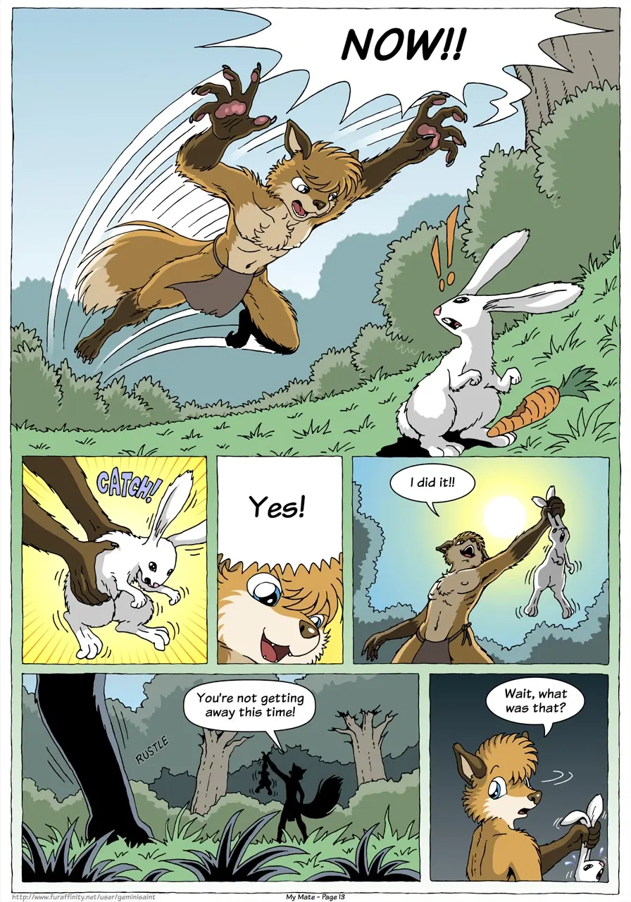 Image #15