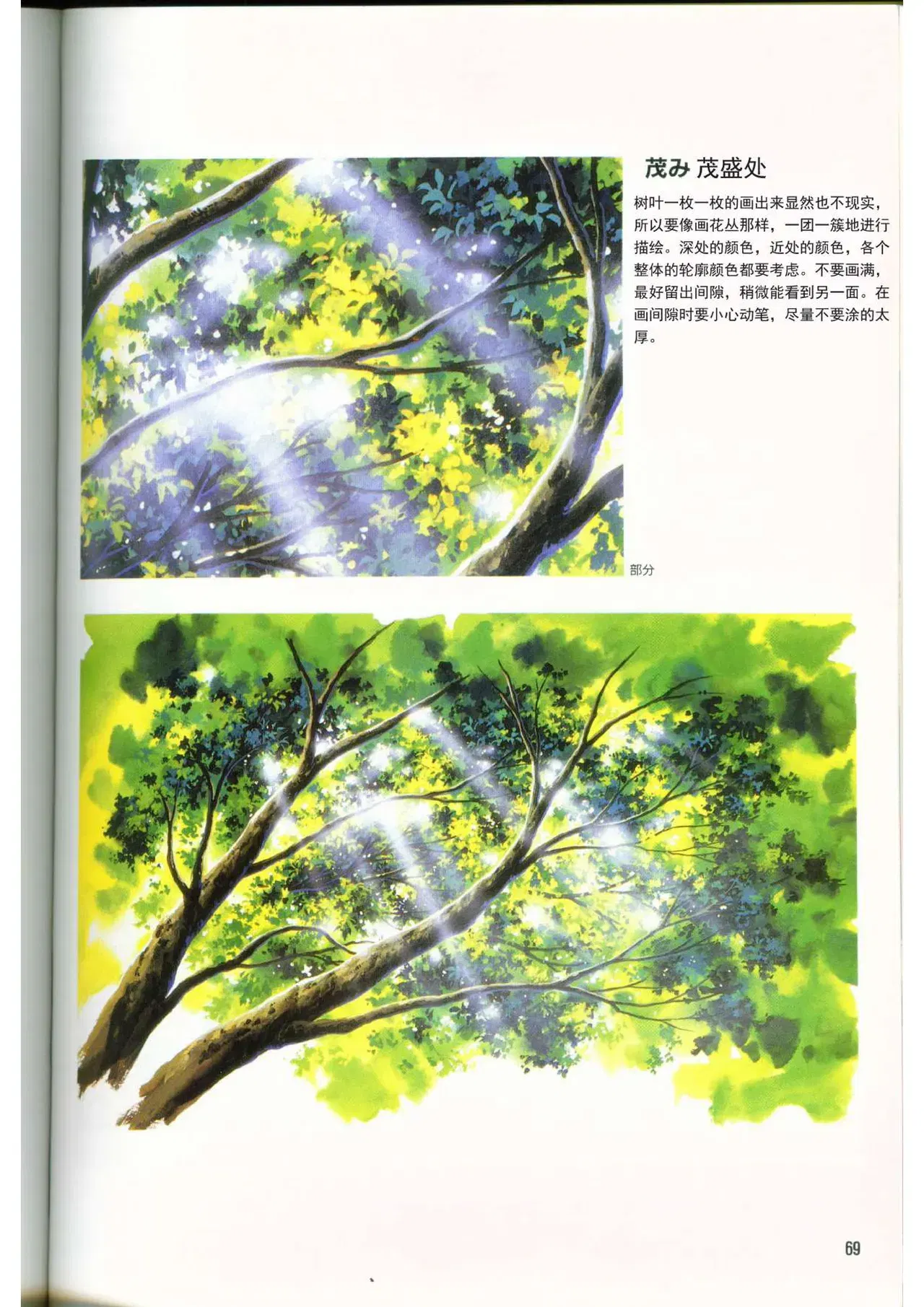 Image #71