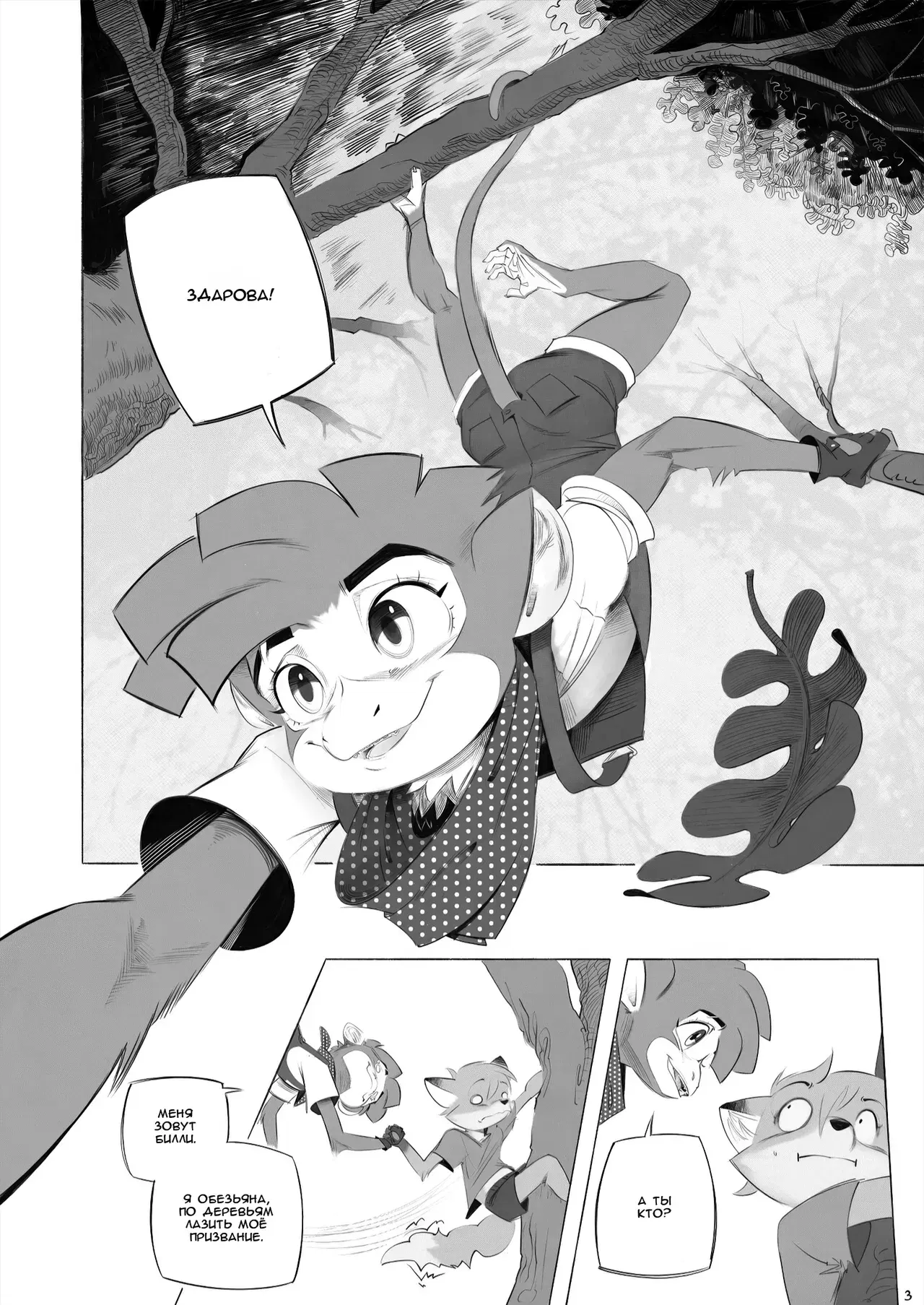 Image #5