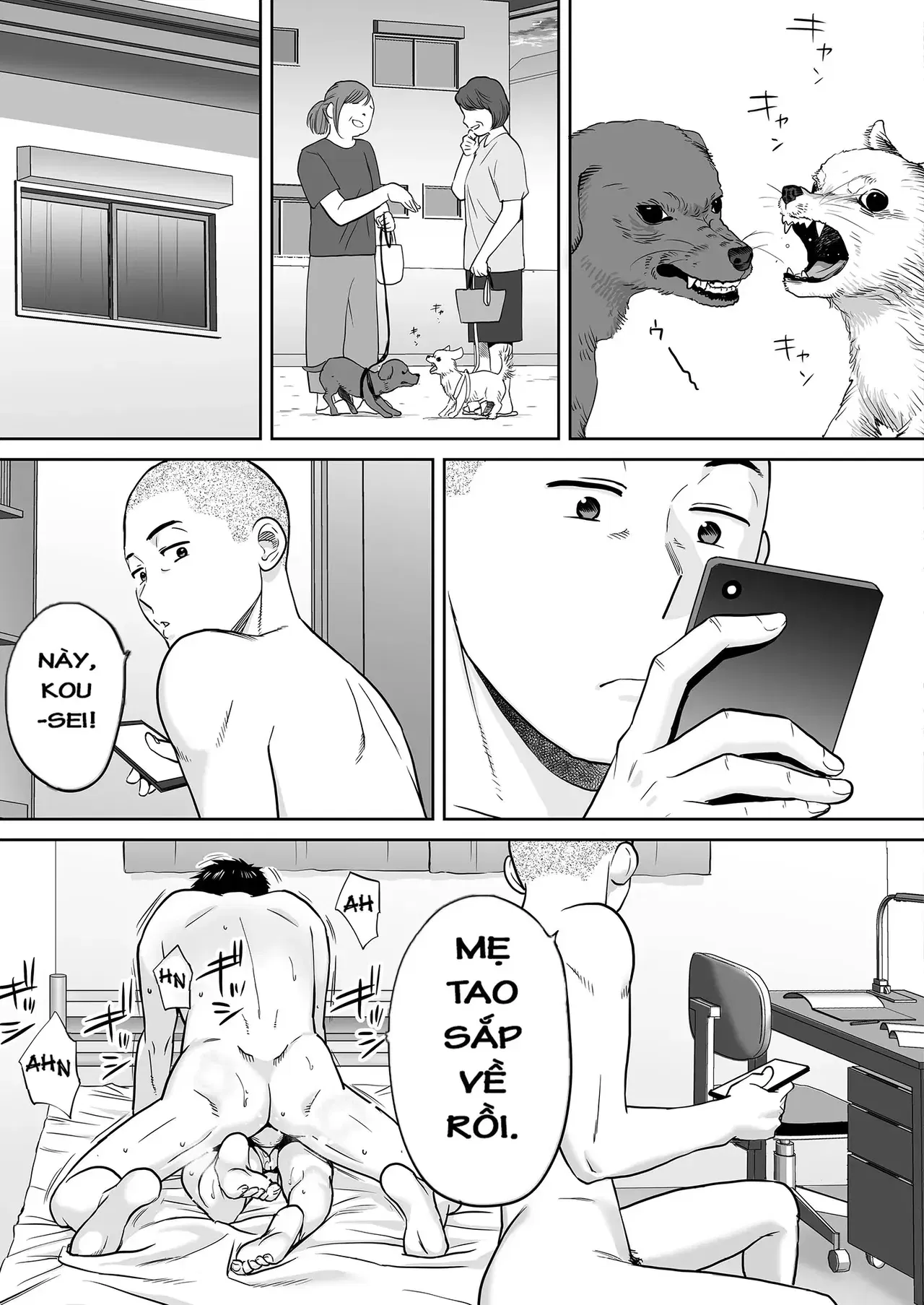 Image #81