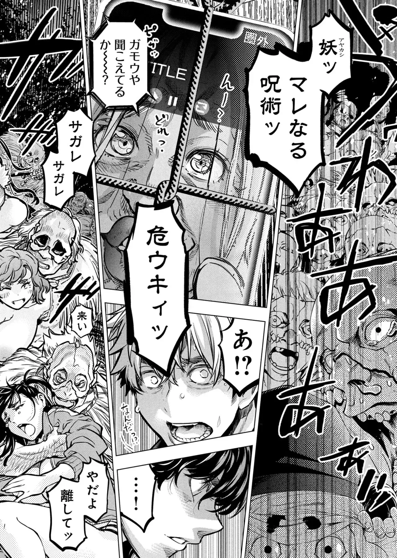 Image #14
