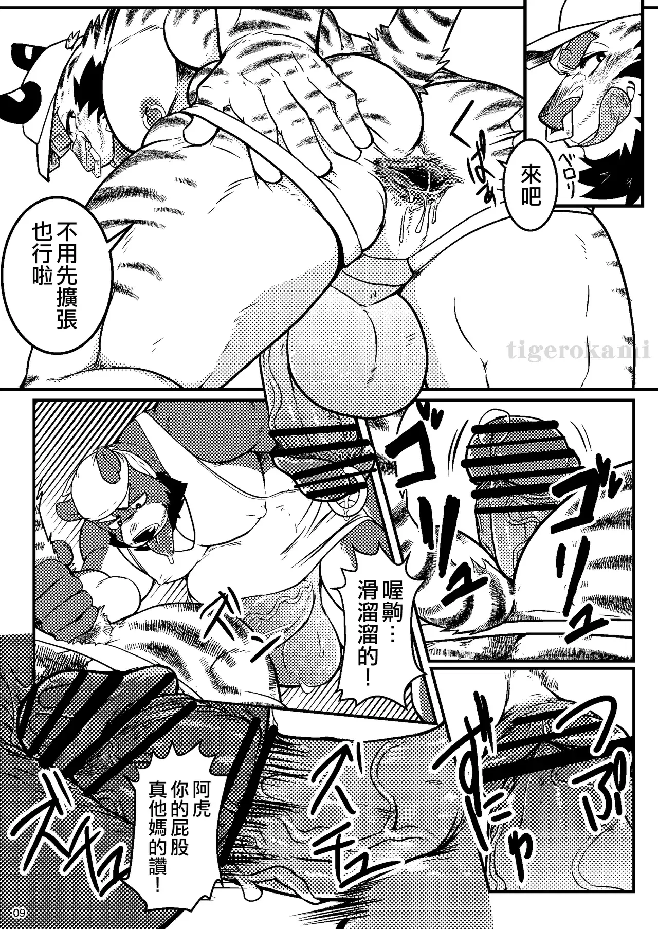 Image #10