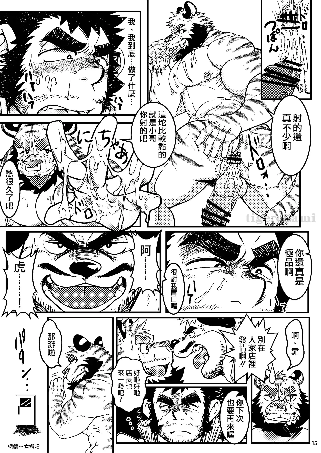 Image #16
