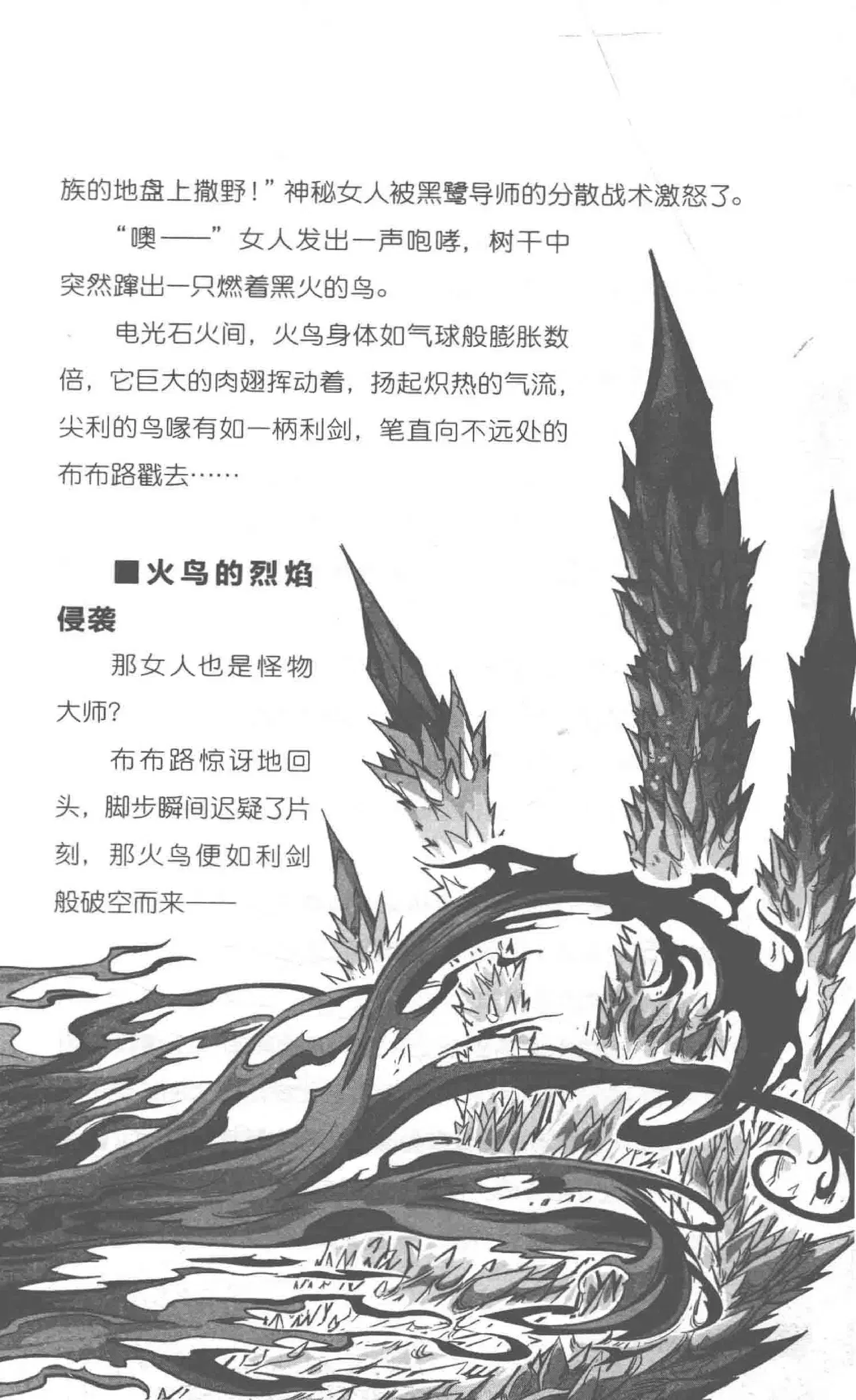 Image #48