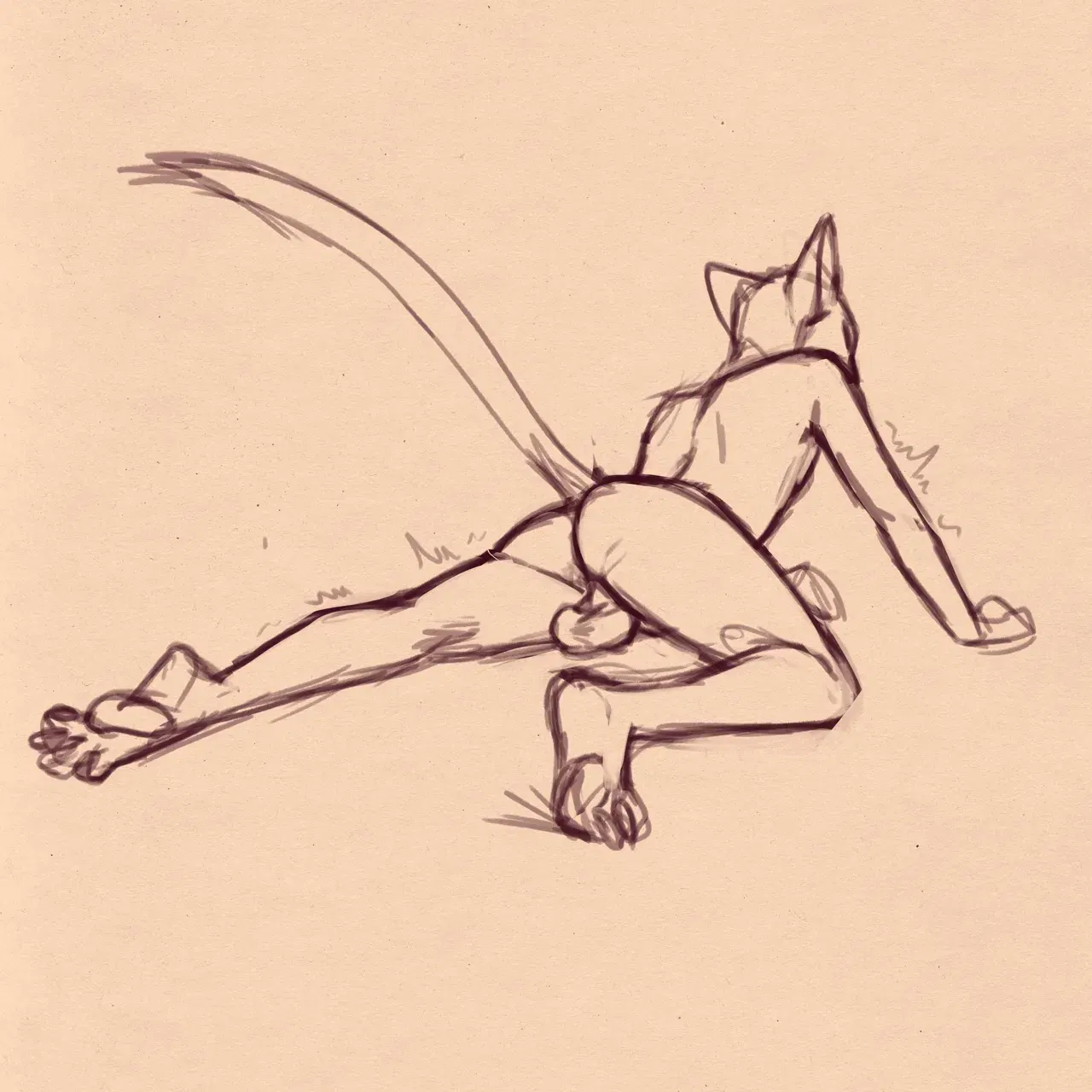 Image #155