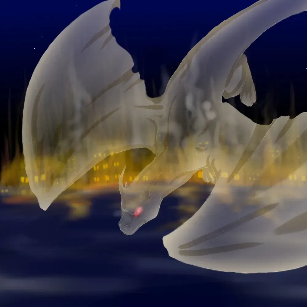 Image #12