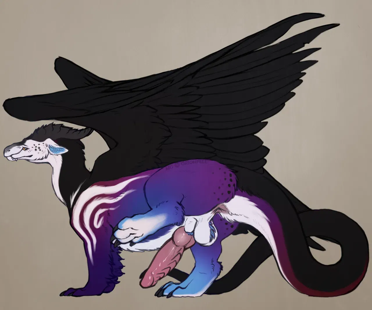 Image #526