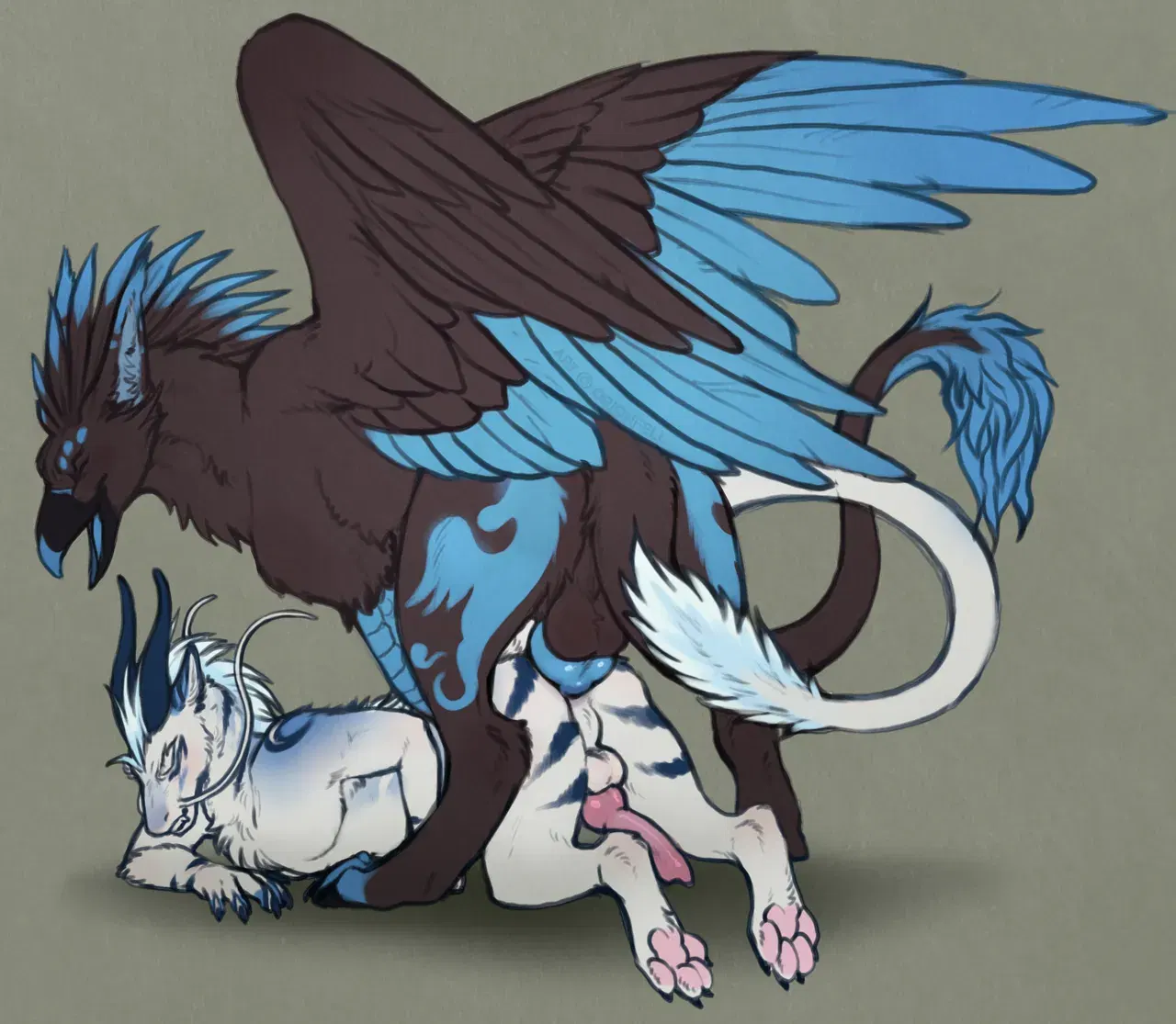 Image #559