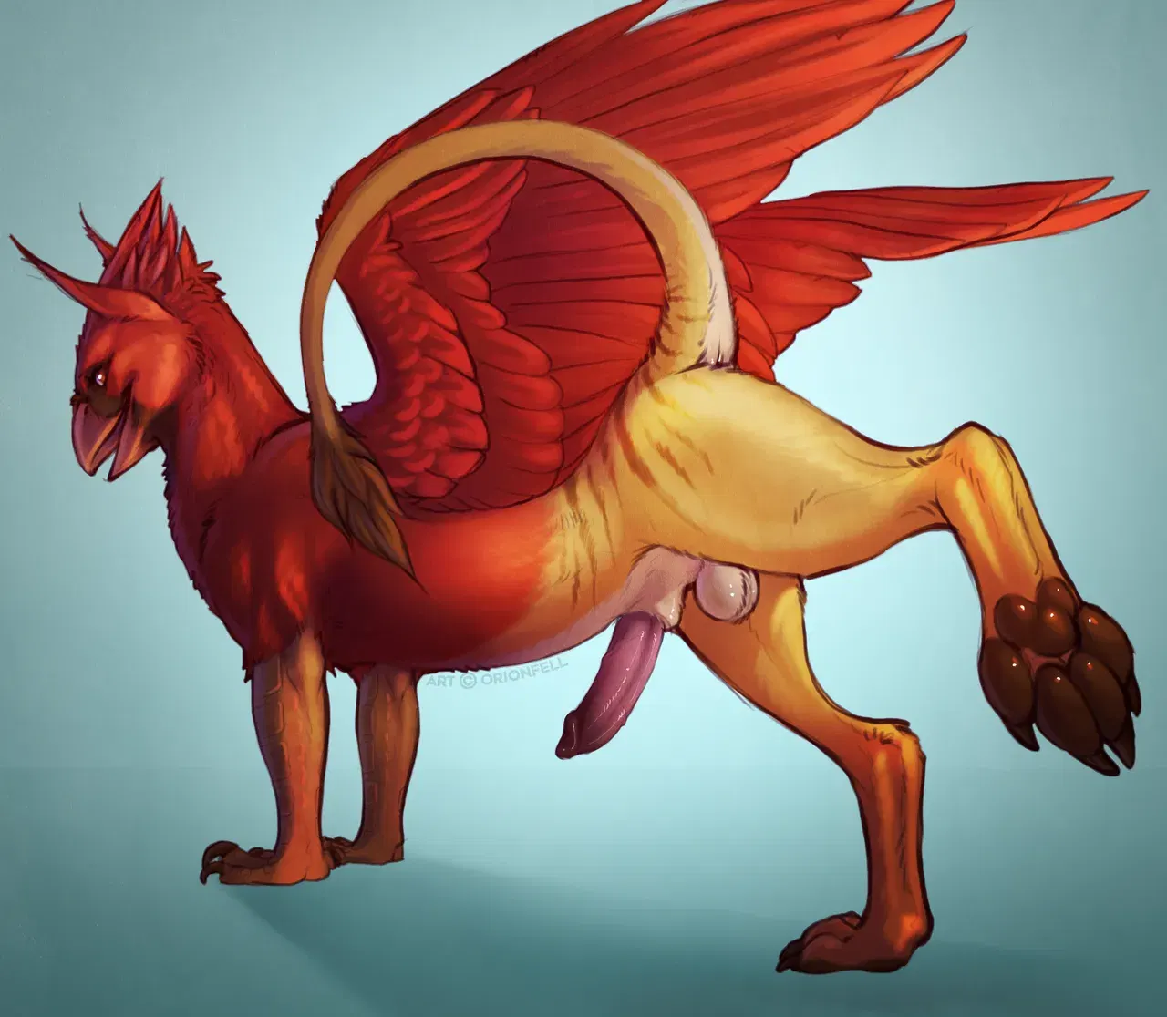 Image #595