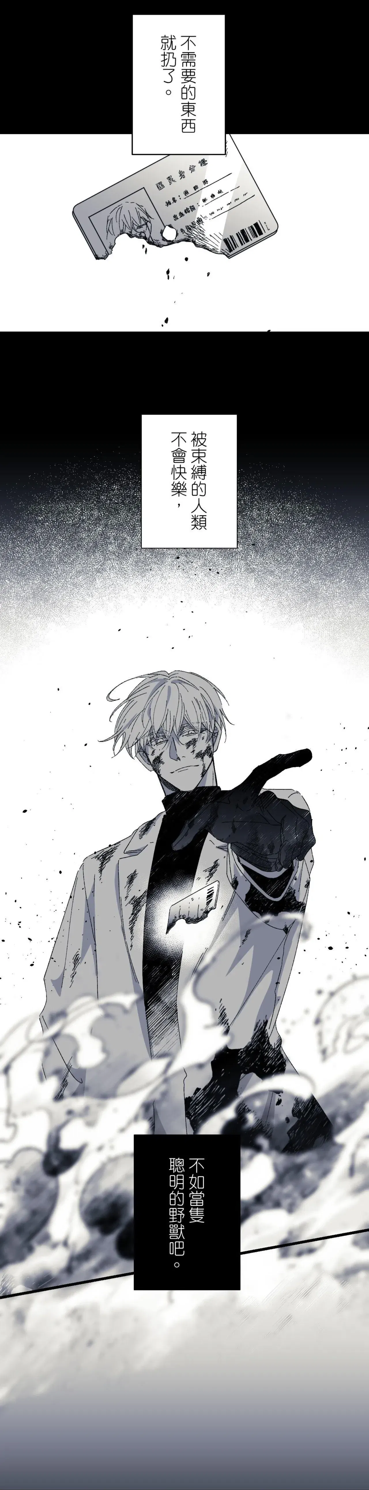 Image #12