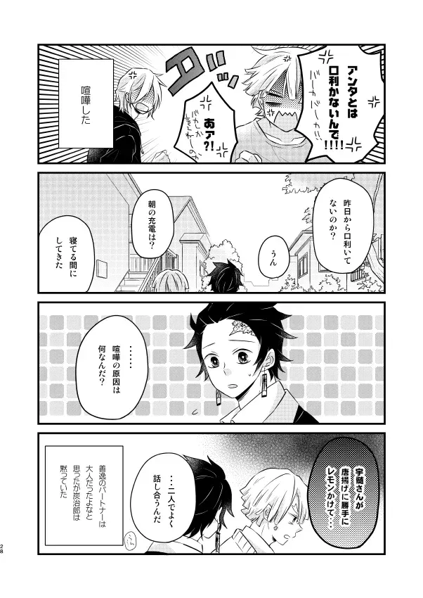 Image #27