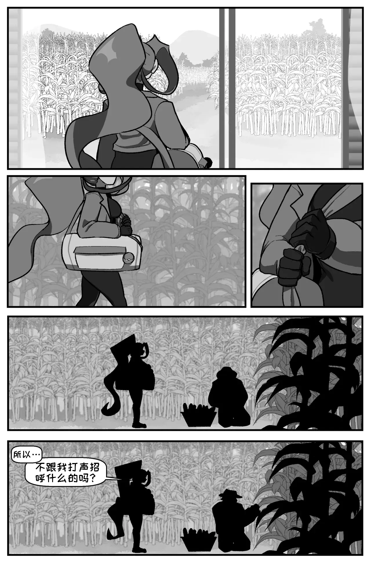 Image #16