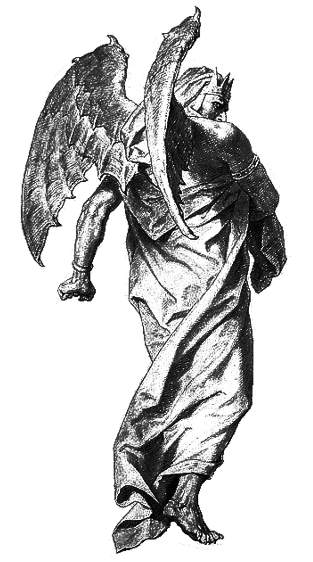 Image #25
