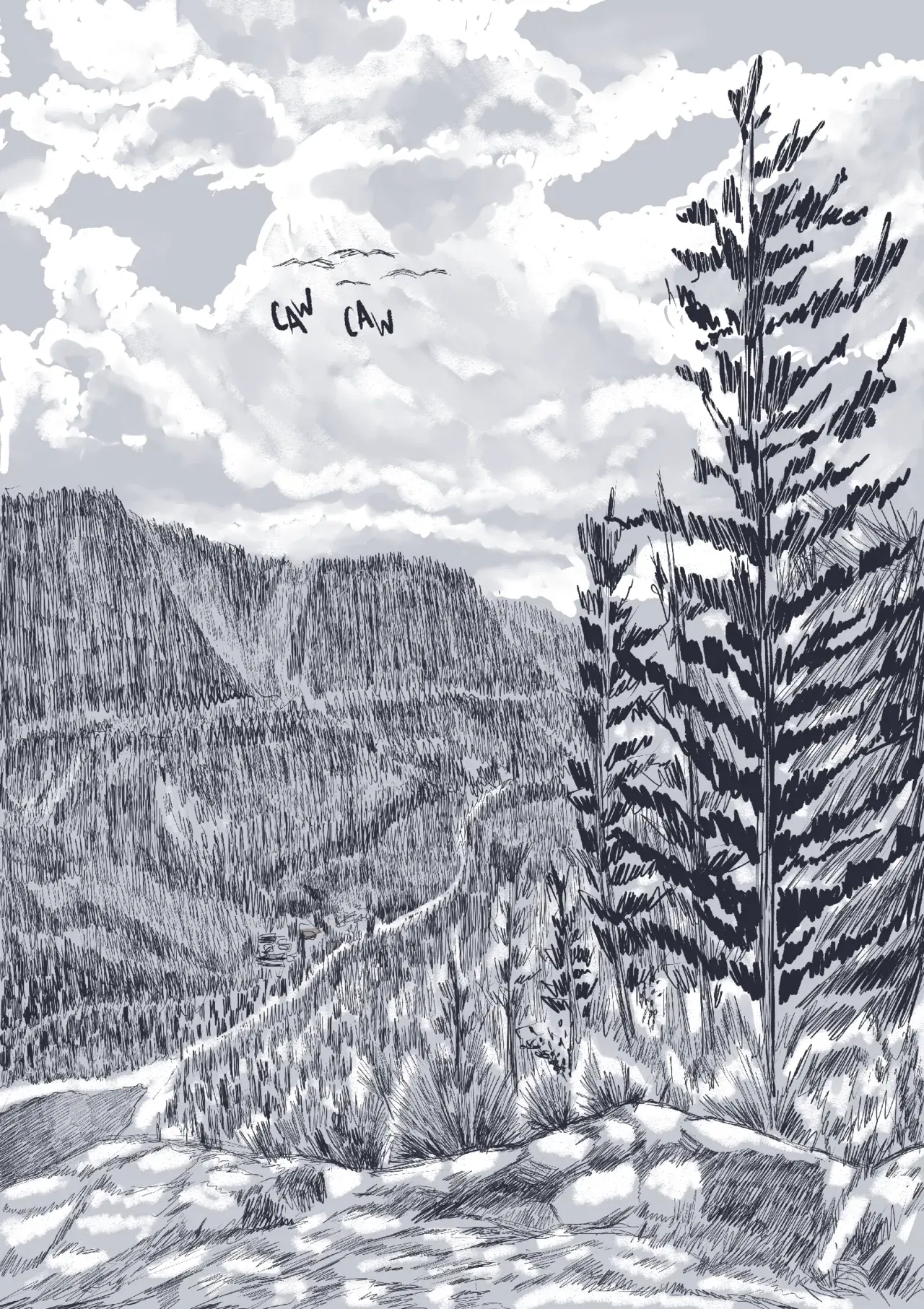 Image #40