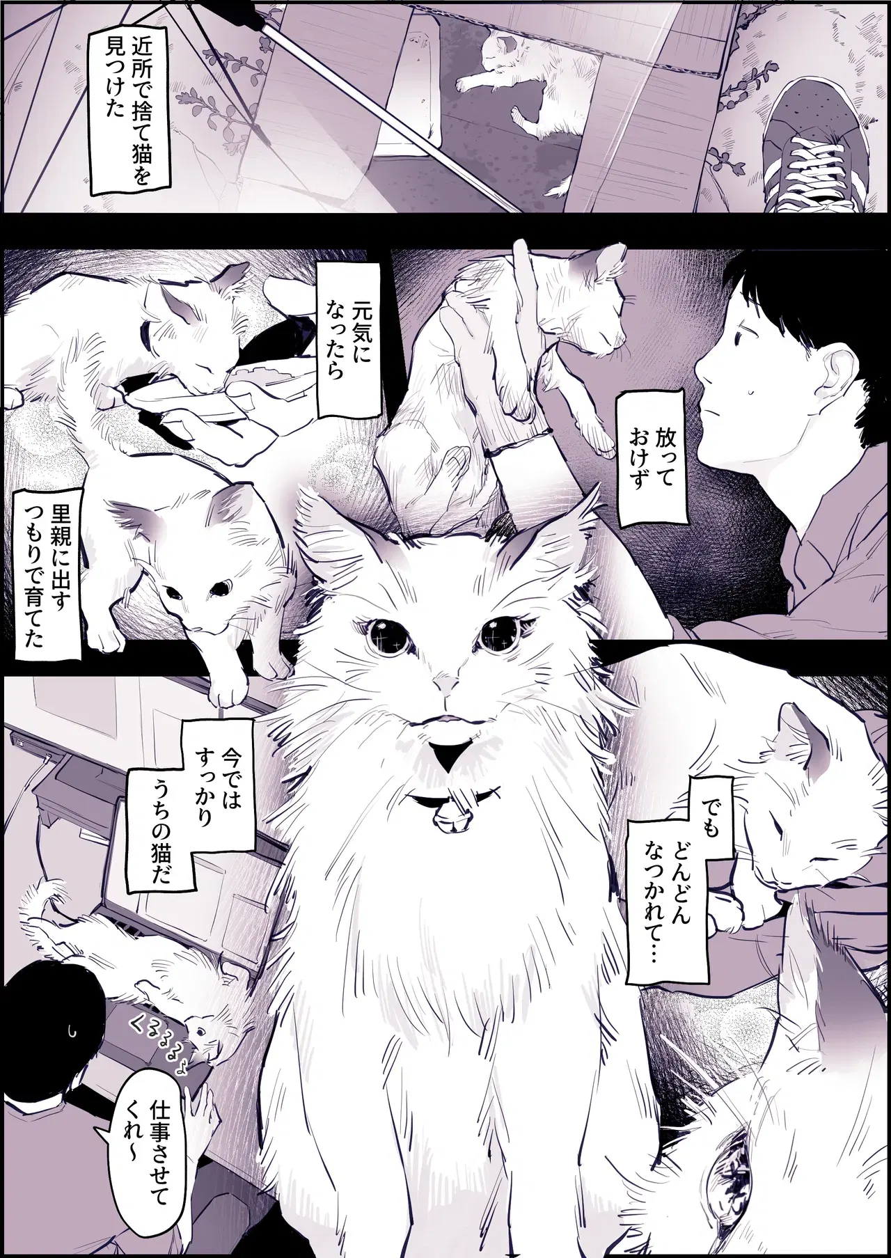 Image #543