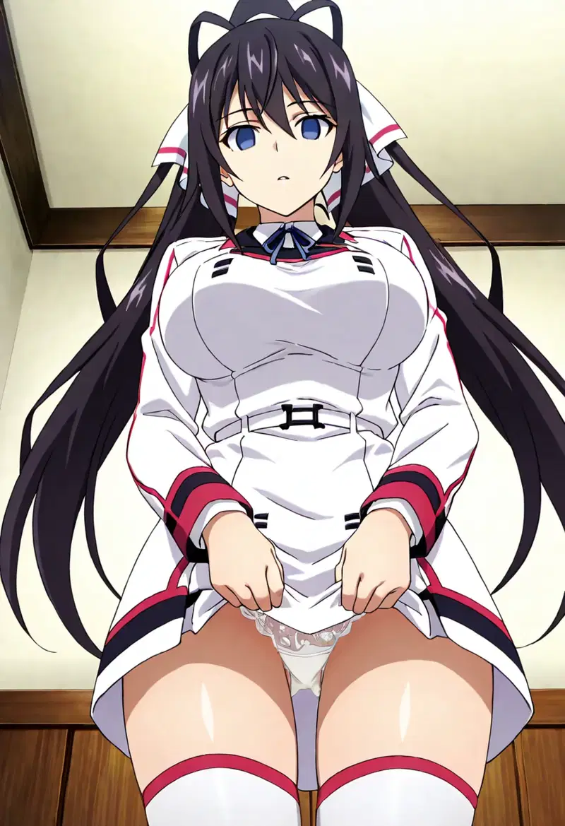 Houki Shinonono 篠ノ之箒