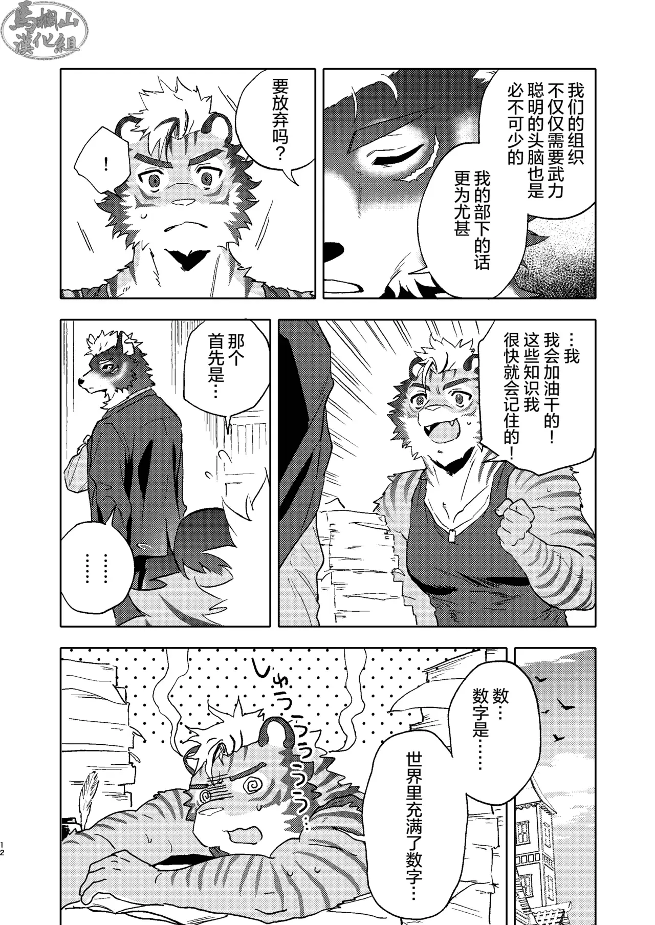 Image #11