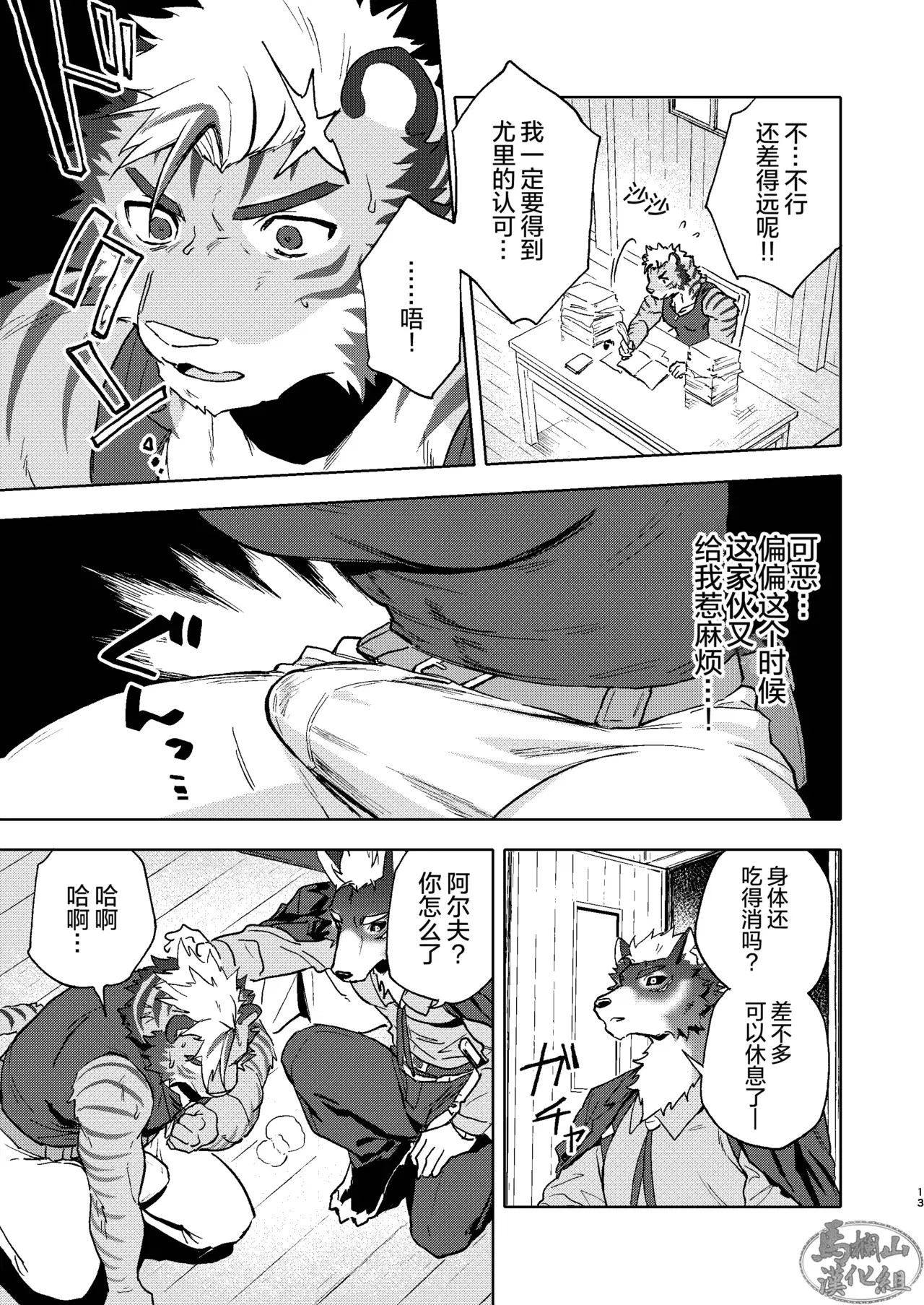 Image #12