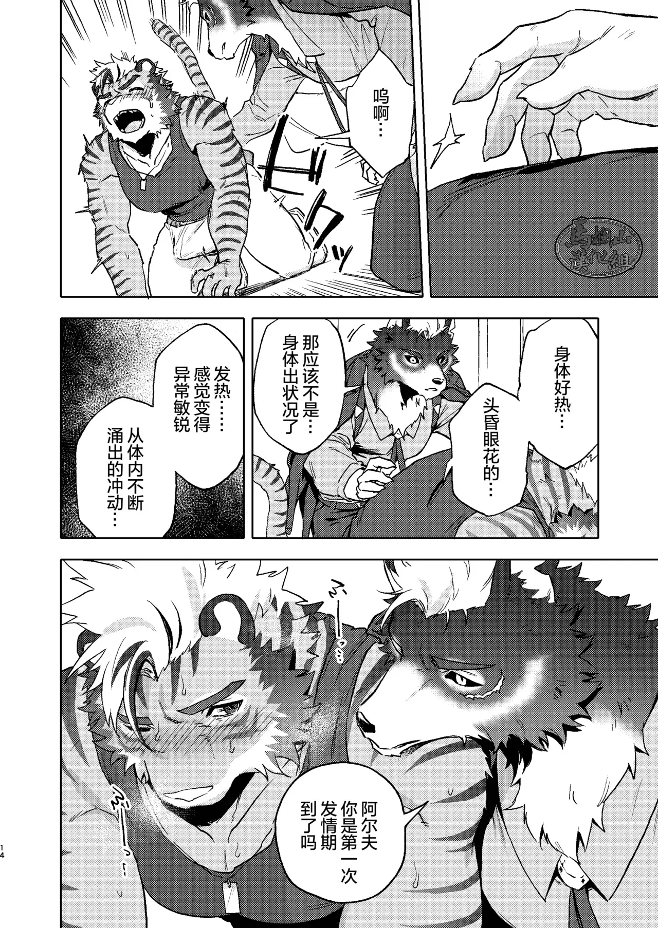 Image #13