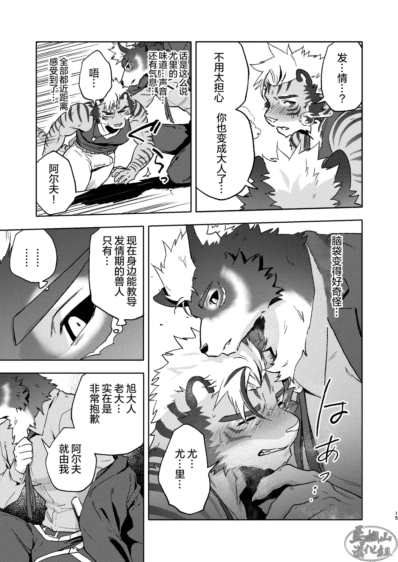 Image #14