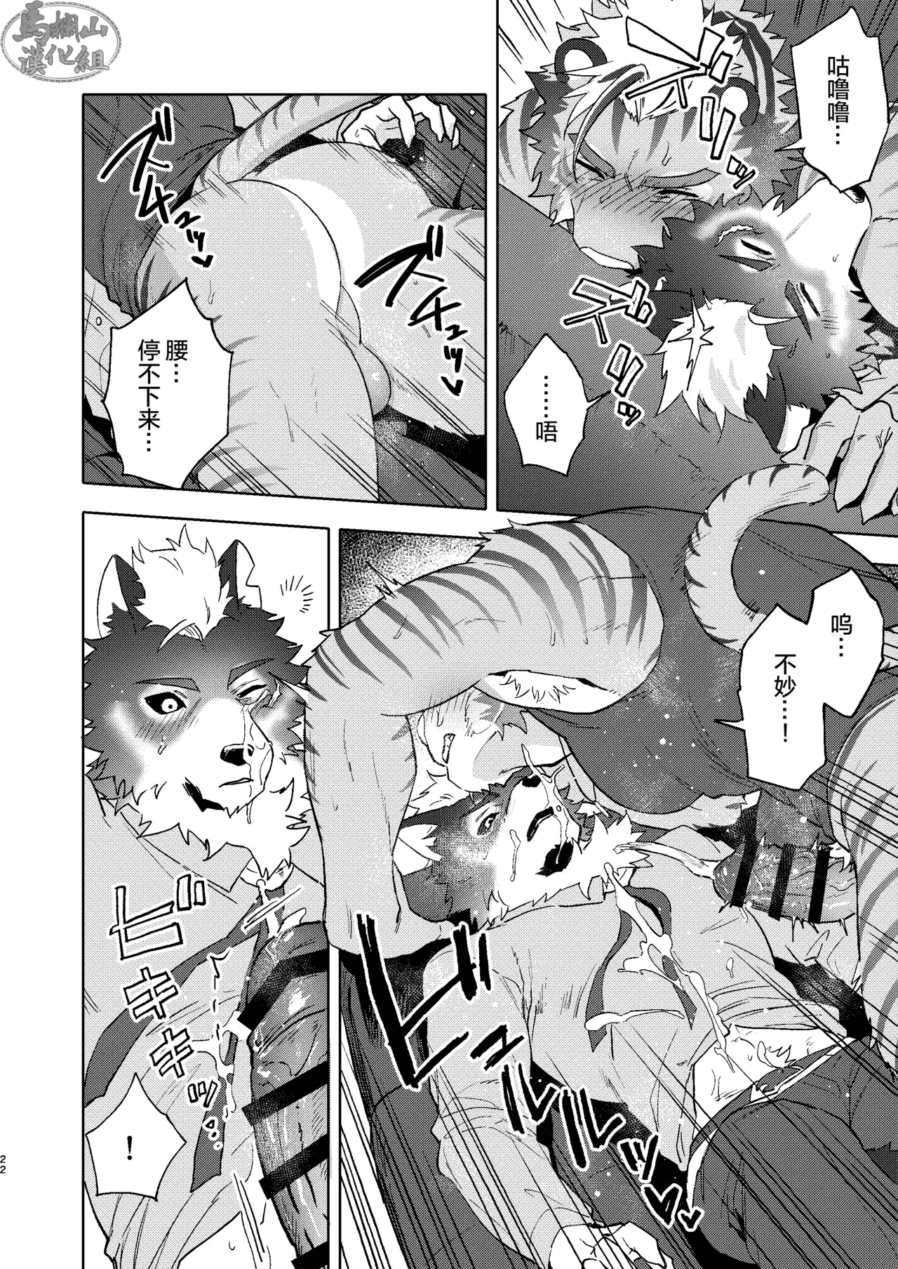 Image #21