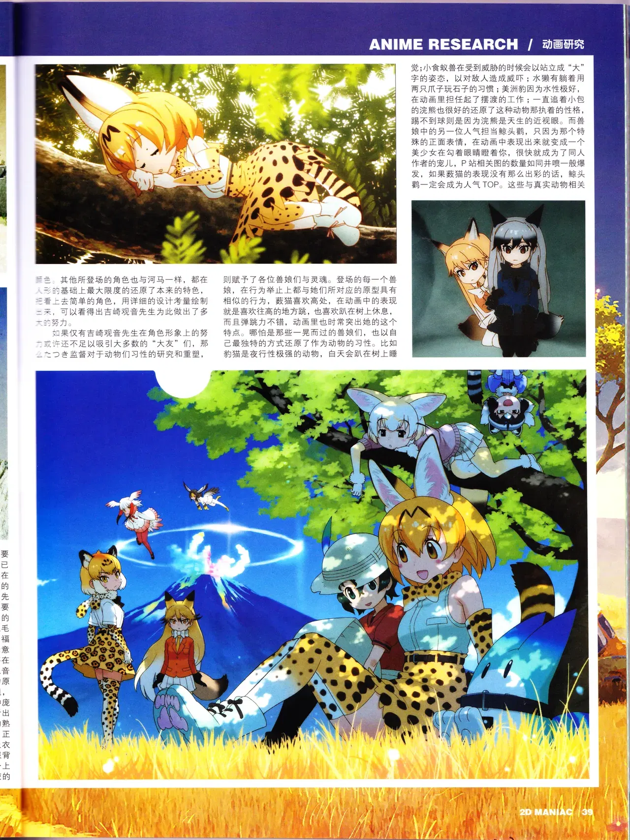 Image #41