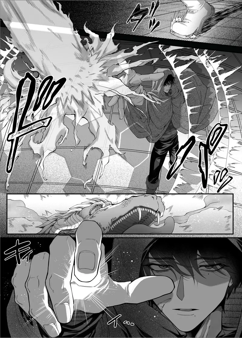 Image #12