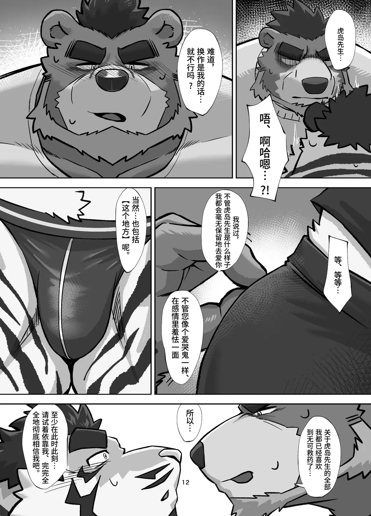Image #12