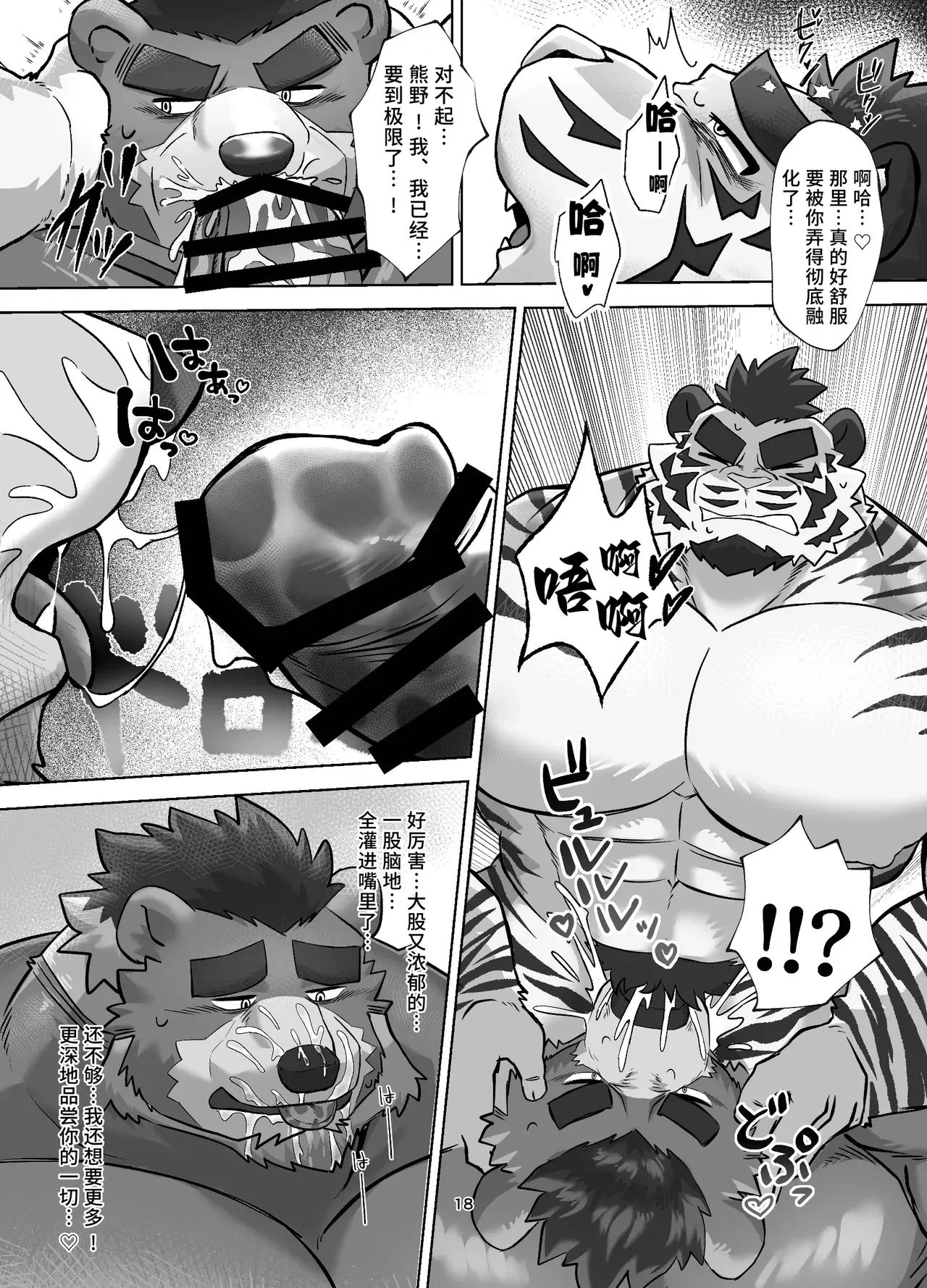 Image #18