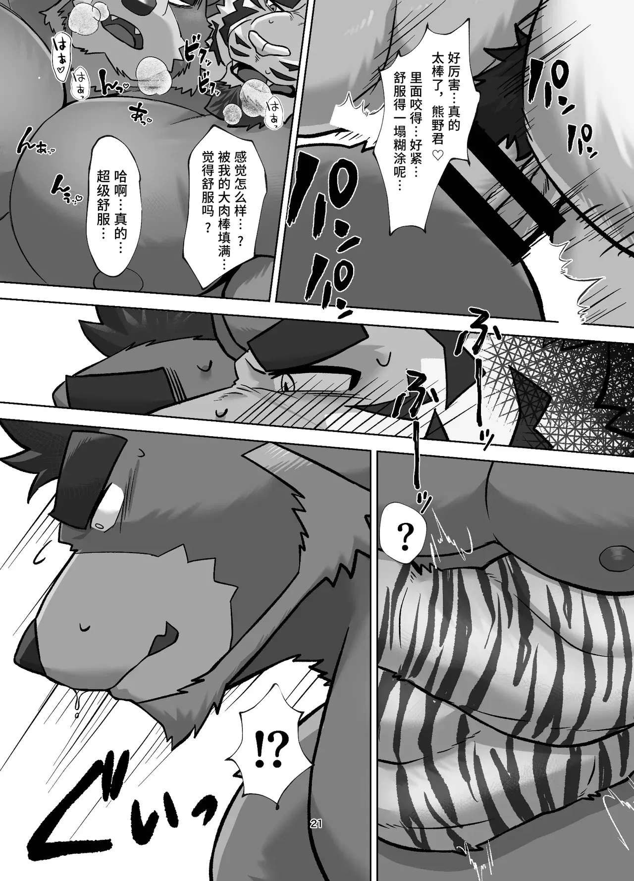 Image #21