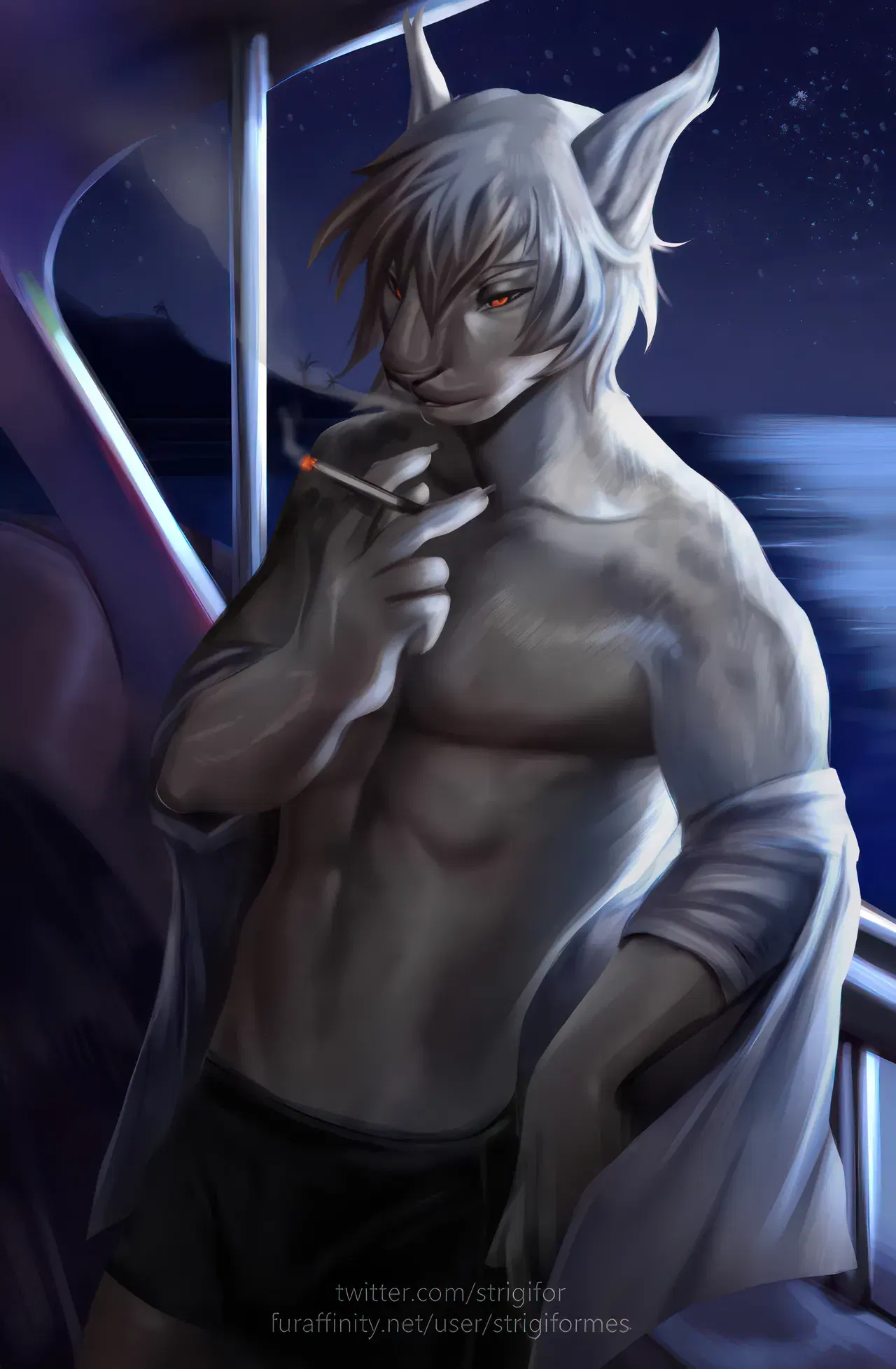 Image #531