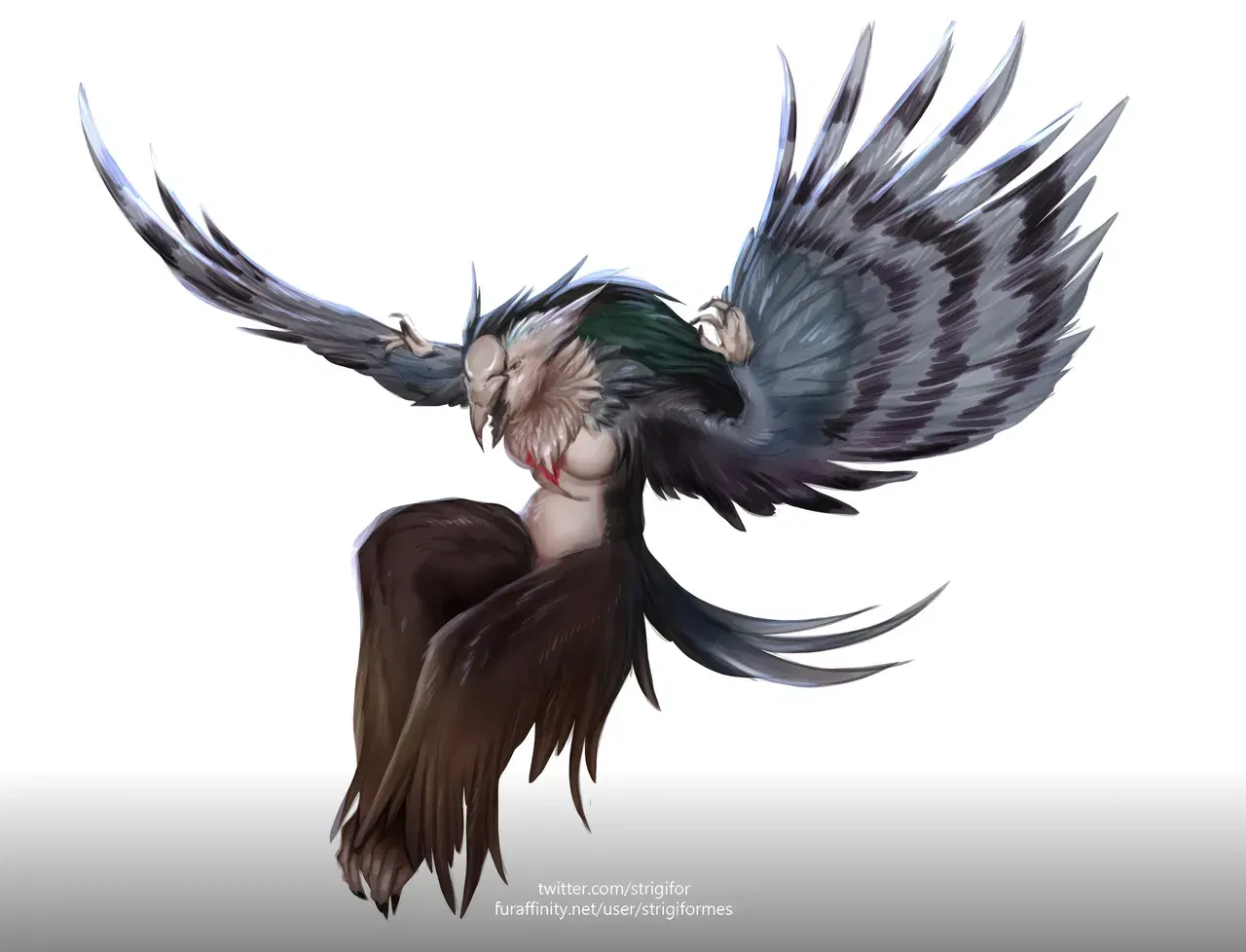 Image #556