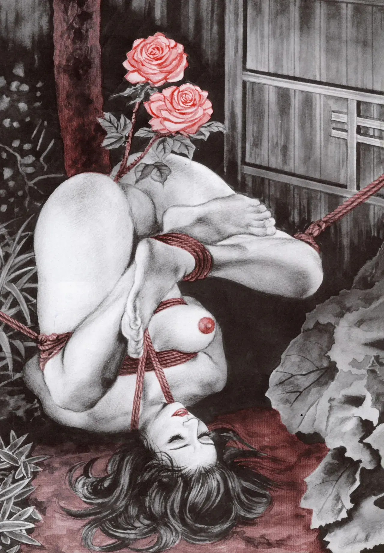 Image #141