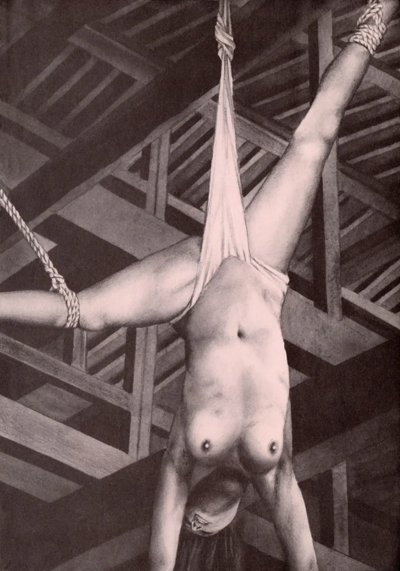 Image #206