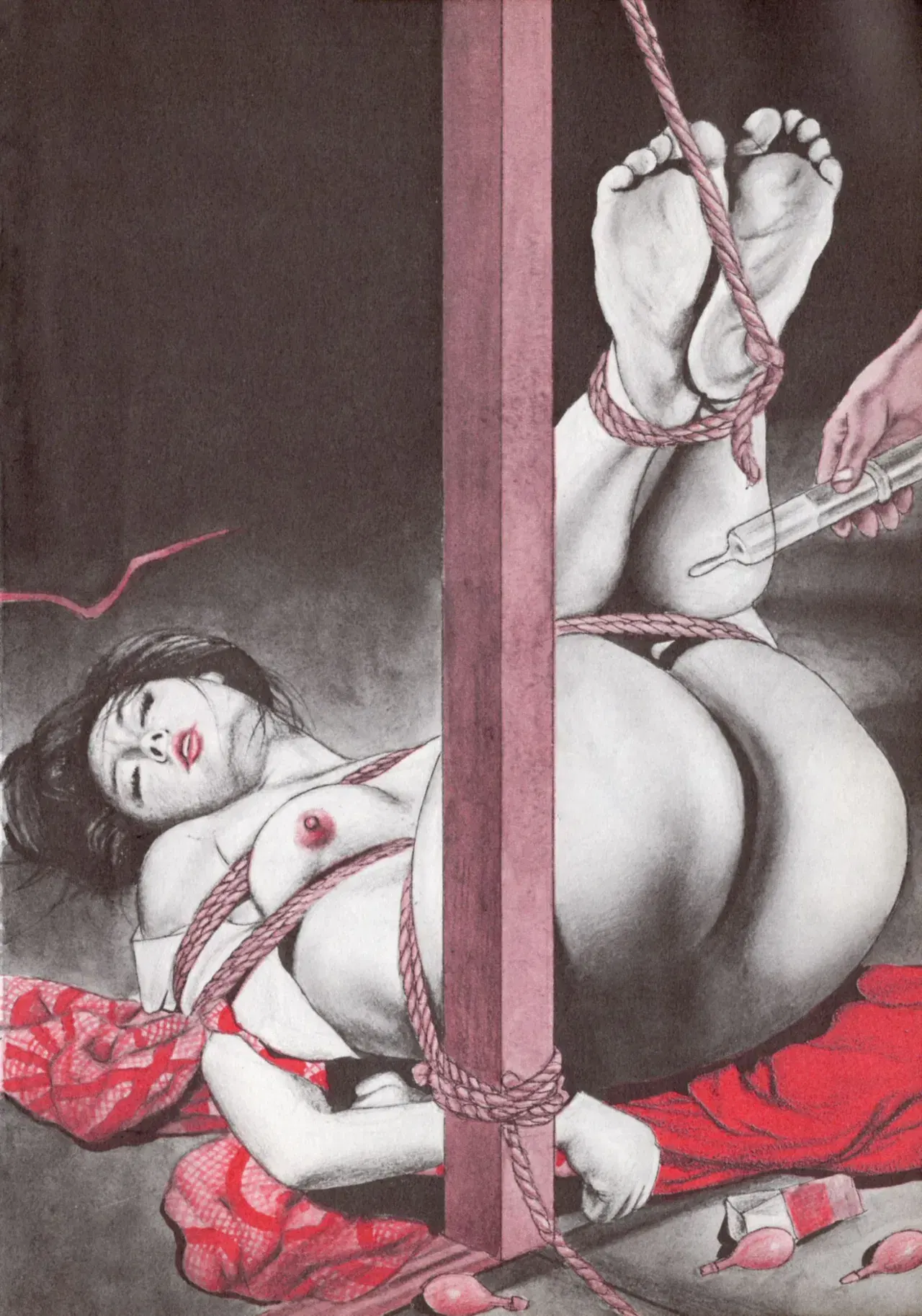 Image #255