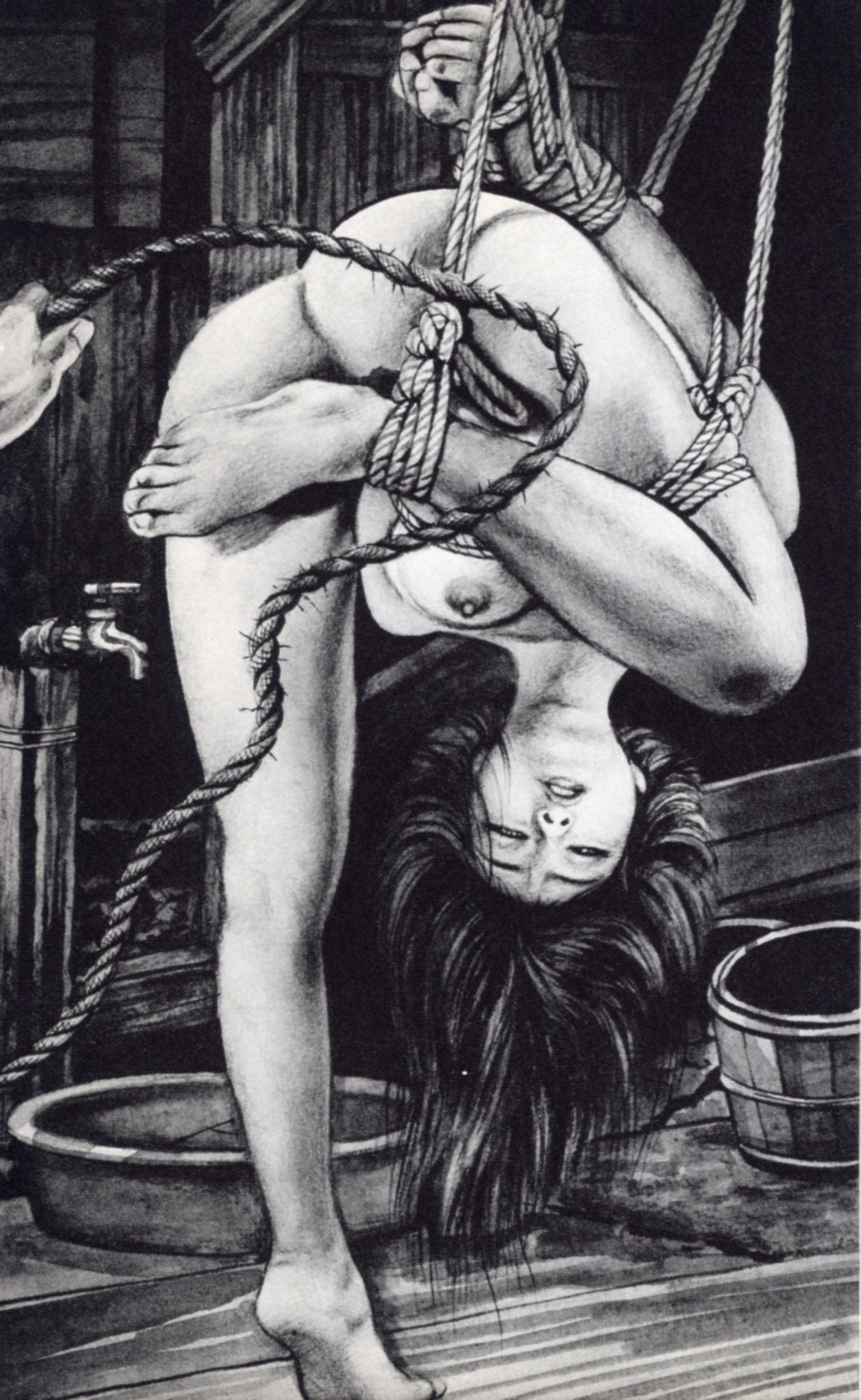 Image #26