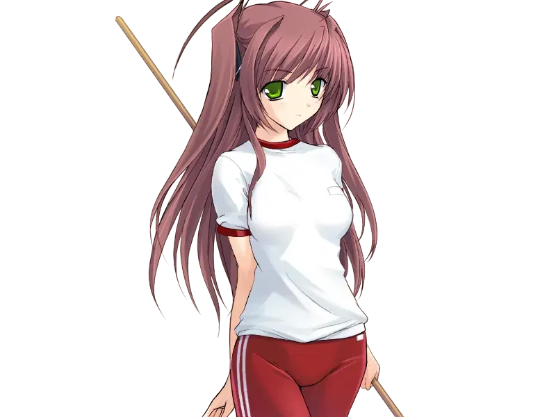 Image #12