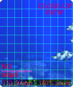 Image #231